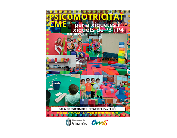 Psicomotricitat